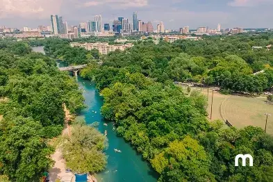 Watch bats dance in the sky at Congress Avenue Bridge