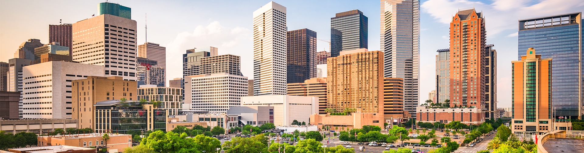 Opiniões de clientes sobre alugar um carro em Houston, Texas