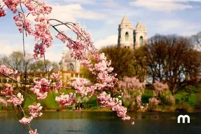 Cosas gratis para hacer en Newark, Nueva Jersey