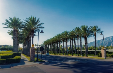 Cheap car rental in Ontario
