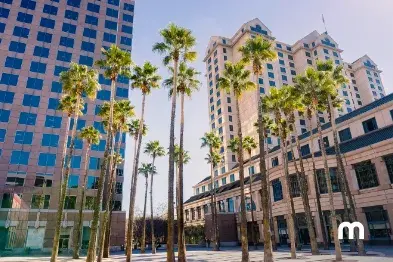 Qué ver y hacer en 3 días en San José, California