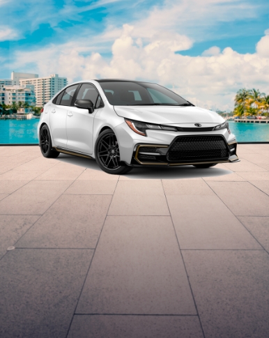 Economy Cars in orlando airport 