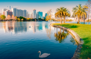 Car rental in Downtown Orlando