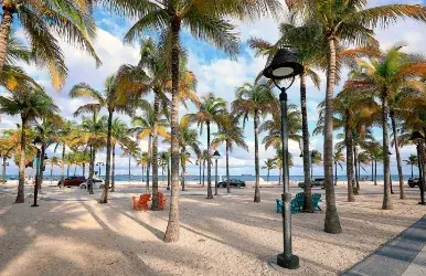 Alamo car rentals in Hollywood