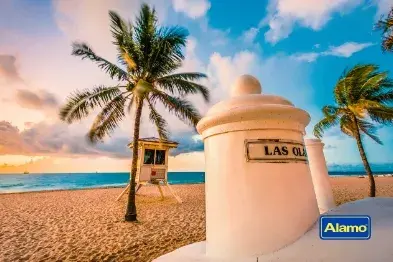 Address of the Alamo branch in Fort Lauderdale How to get to the Alamo Rent a Car offices in Fort Lauderdale?
