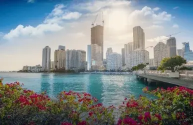 Aluguel de carros na Avis de Miami Downtown