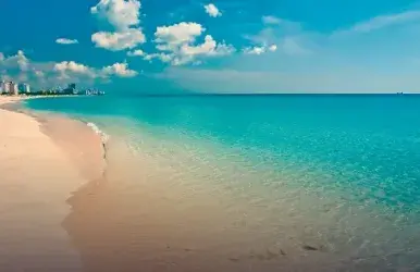 Aluguel de carros com a Avis em Miami Beach