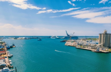 Rent a car with Avis at Port Canaveral
