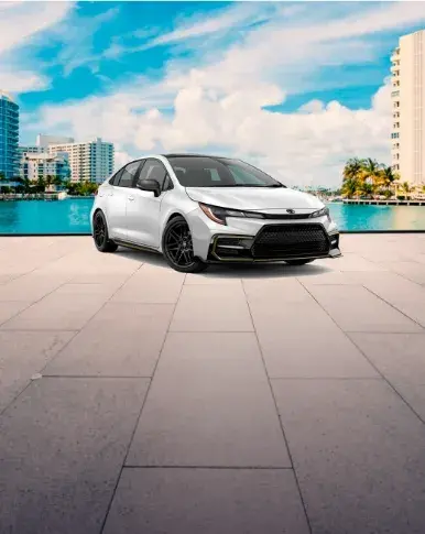 Alugue um carro Econômico