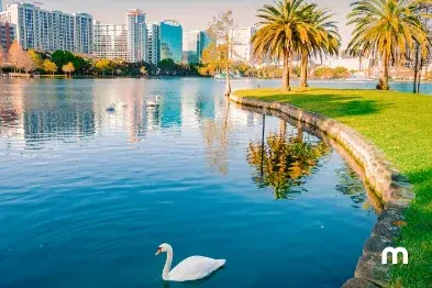 How to get from Orlando to Fort Lauderdale in a car quickly?