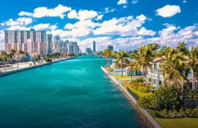 Convertibles de alquiler en Hollywood, Florida