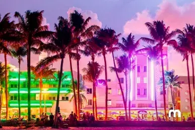 Actividades grupales para hacer en Miami