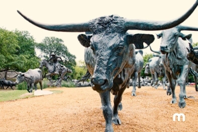 Rent a car and visit tourist attractions in Dallas, Texas