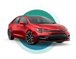 Affordable car rental with Miles Car Rental