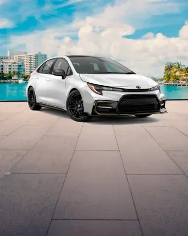 Carros Económicos Downtown Miami