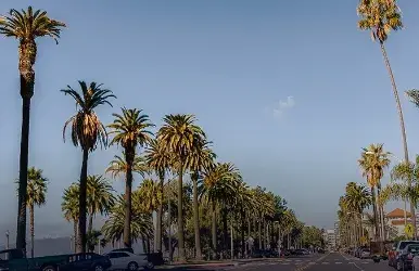 Carros baratos de alquiler en Wilshire Boulevard