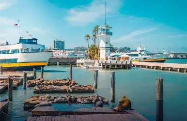 Economy car rentals in Fishermans Wharf