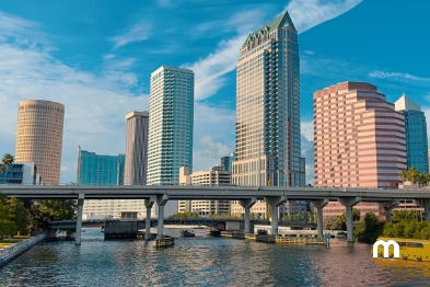 Qué puedo hacer en Tampa en un día 