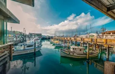 Electric vehicles for rent in Fisherman's Wharf, San Francisco