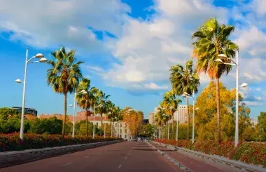 Rent a car with Enterprise in Doral Miami