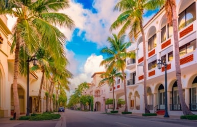 Vehicle rentals in Palm Beach