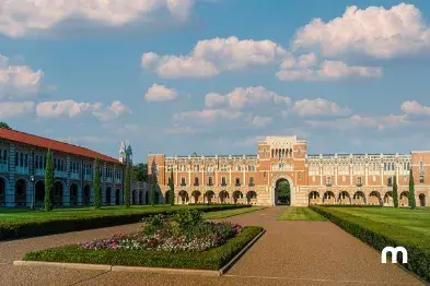 Must-visit places in Houston, TX