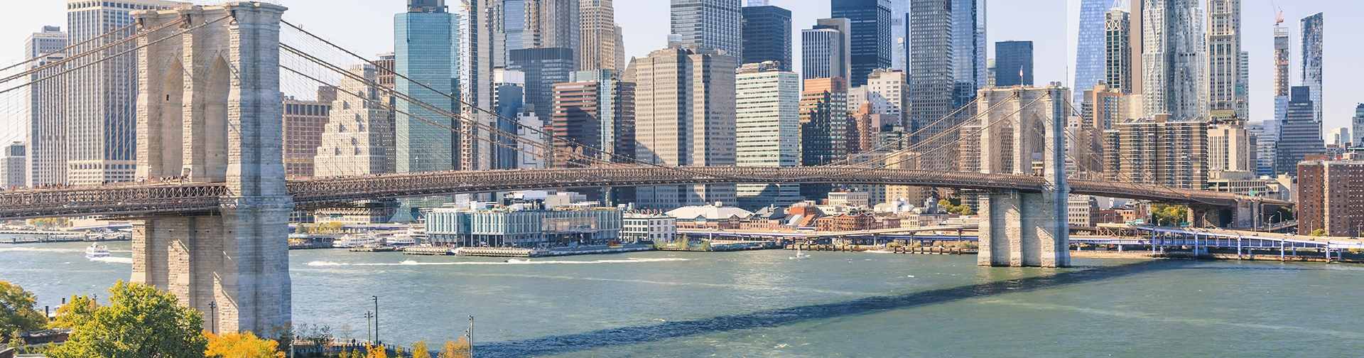 Reviews on car rentals in New York