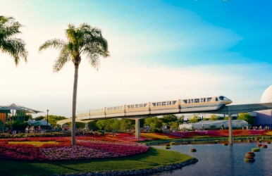 Unmissable discounts on car rentals in Universal Studios, Orlando