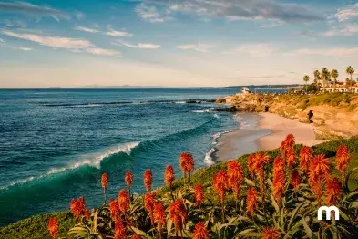 Beautiful beaches in San Diego, California