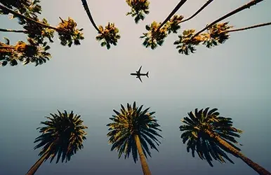 Car rentals at Miami Executive Airport