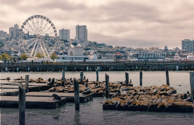 Luxury car rentals in Fisherman’s Wharf