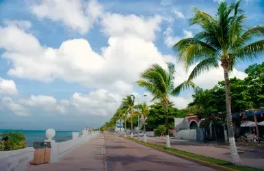 Payless Car Rental in Miami Beach 