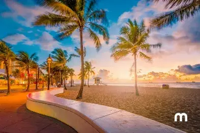 Cruising from Fort Lauderdale to Port Everglades in a rental car Go from Fort Lauderdale to Port Everglades in a rental car