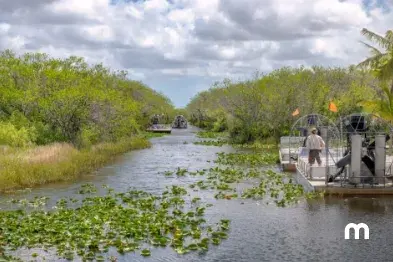 Rent a car to explore the Everglades Car rentals at Everglades National Park