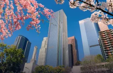 Van rentals in Downtown Los Angeles