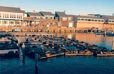 Van and minivan rentals in Fishermans Wharf in San Francisco