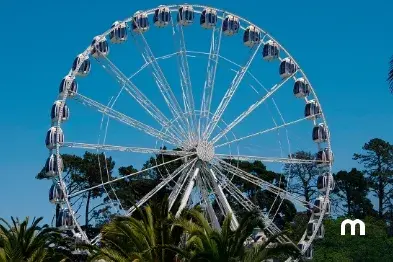 Discover San Francisco's amusement parks